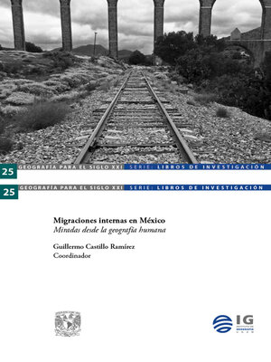 cover image of Migraciones internas en México. Miradas desde la geografía humana